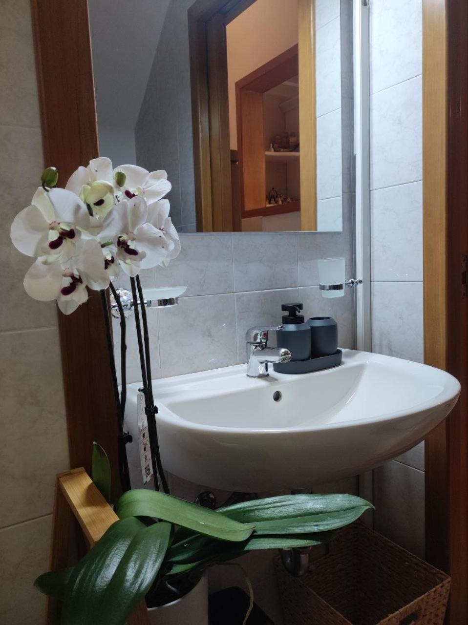 Casa Vacanza Gallipoli Centro Bagian luar foto